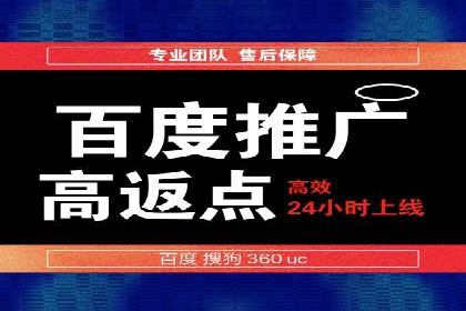SEO技术突破：某网站流量暴增的背后故事